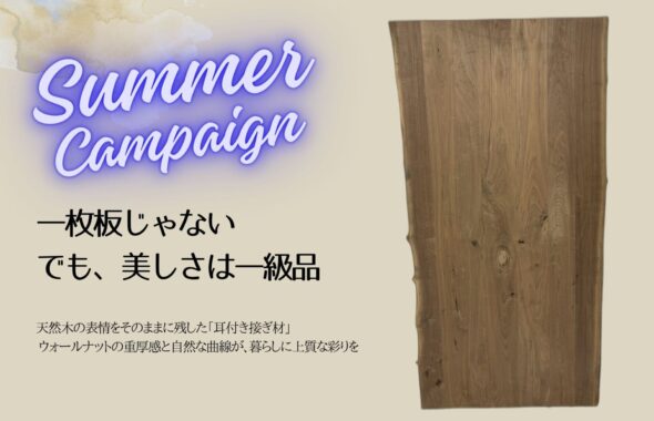 ウォールナット　耳付き板　キャンペーン