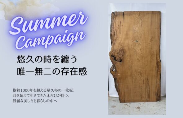 屋久杉 一枚板テーブル　キャンペーン