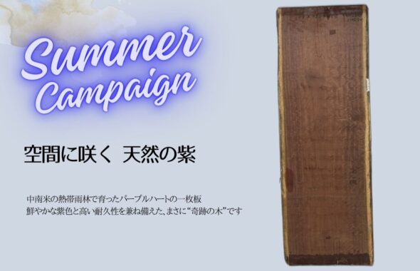パープルハート一枚板テーブル　キャンペーン
