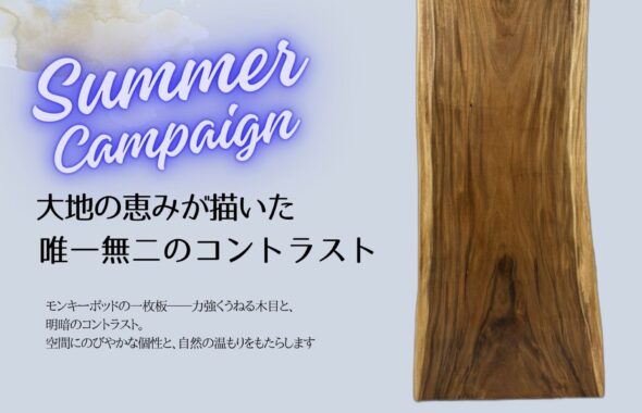 モンキーポット　一枚板テーブル　キャンペーン