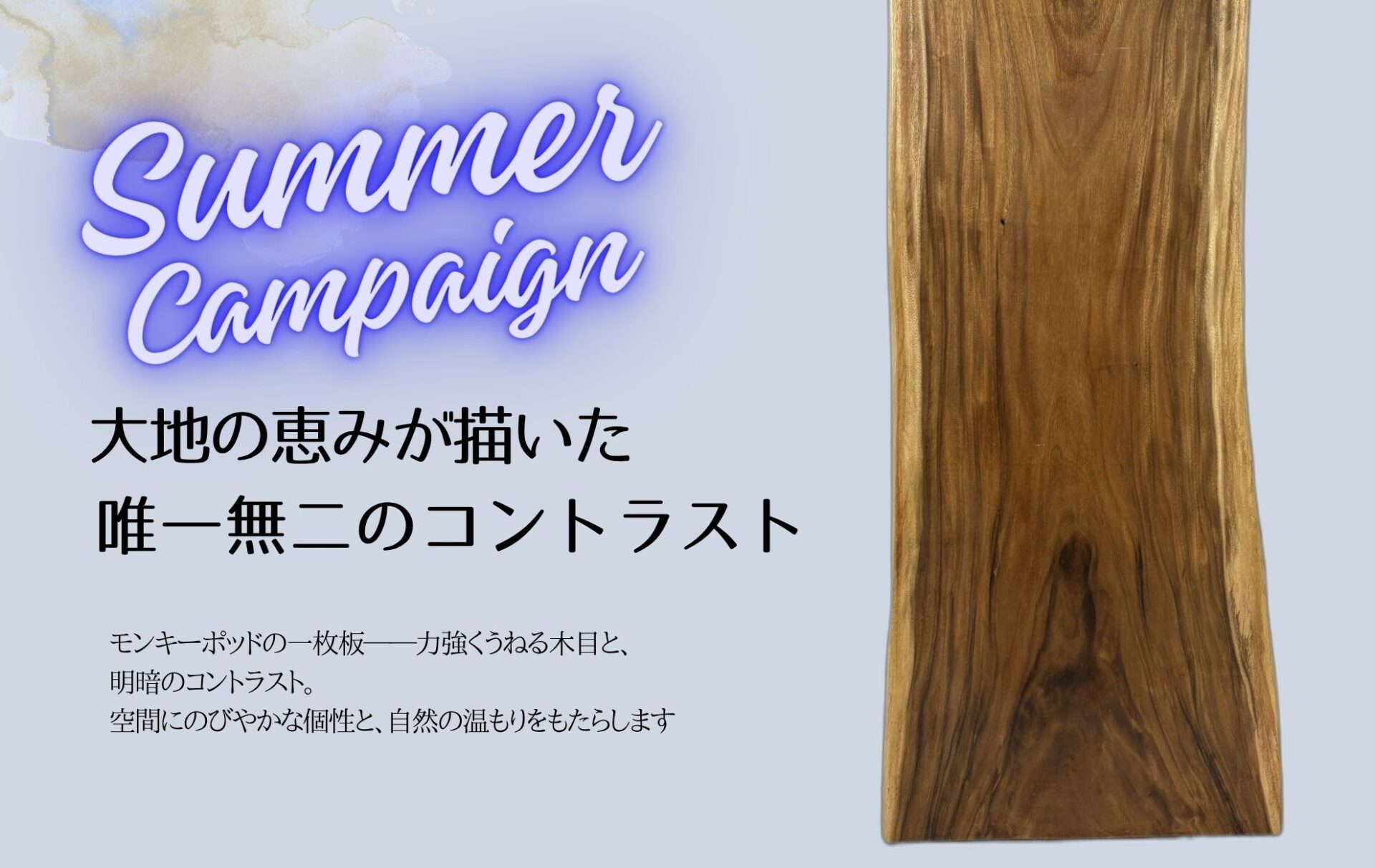 モンキーポット 一枚板テーブル キャンペーン