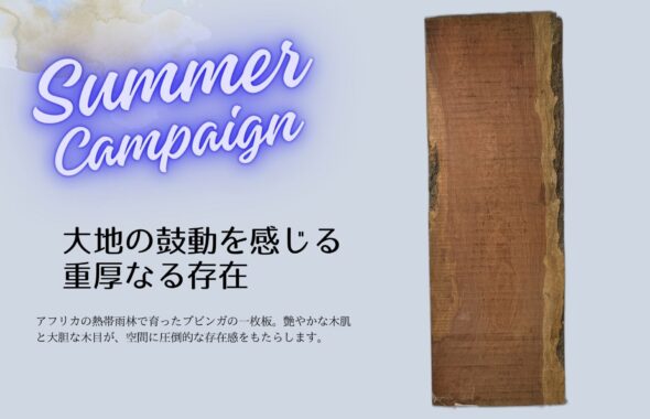 ブビンガ　一枚板テーブル　キャンペーン