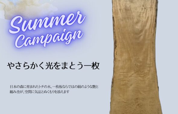 トチ　一枚板テーブル　キャンペーン