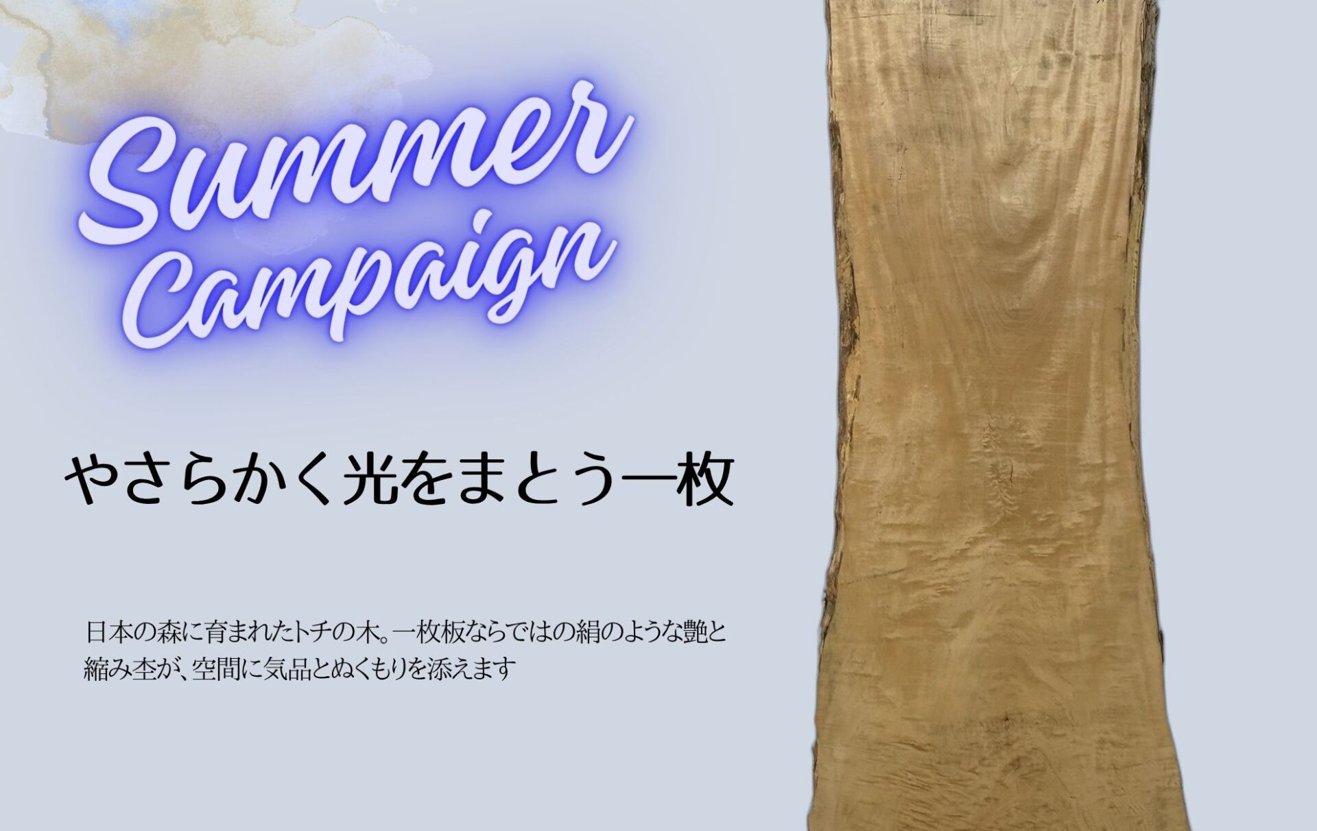 トチ 一枚板テーブル キャンペーン