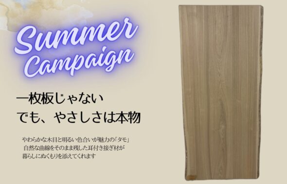 タモ　耳付き材　キャンペーン